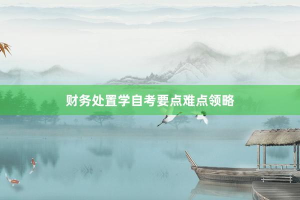 财务处置学自考要点难点领略
