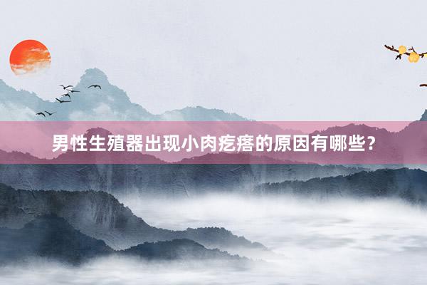男性生殖器出现小肉疙瘩的原因有哪些？