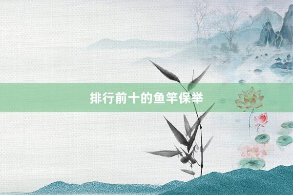 排行前十的鱼竿保举